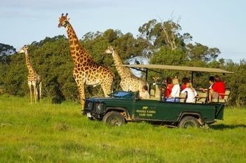 Kragga Kamma Game Park Hotel Порт Елизабет Екстериор снимка